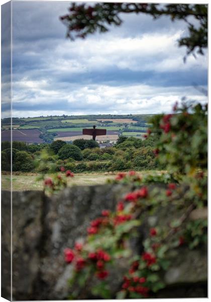 Angel of the North from afar Canvas Print by Phil Page