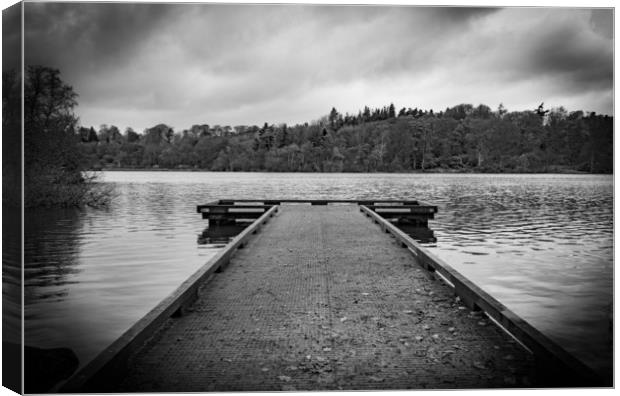 Bolam Lake in Northumberland Canvas Print by Phil Page
