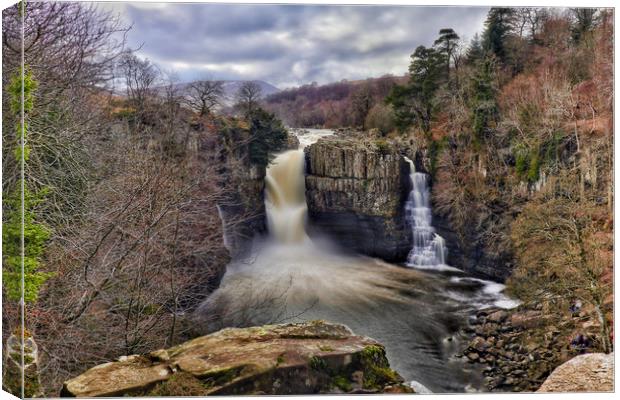 High Force Waterfall  Canvas Print by Phil Page