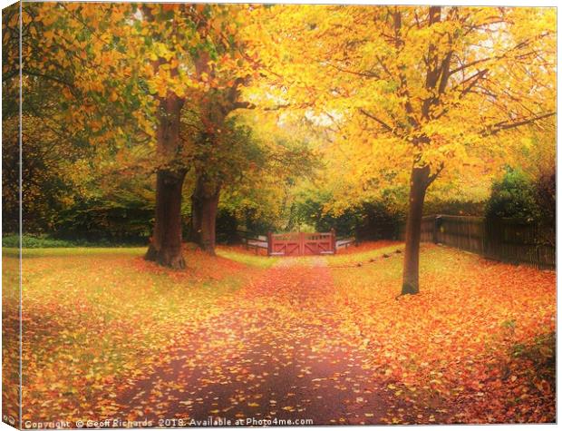 Autumn Leaves Canvas Print by Geoff Richards