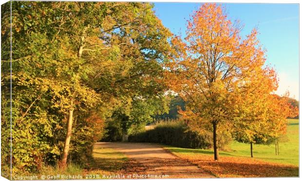 Autumn Country Lane in Hampshire  Canvas Print by Geoff Richards