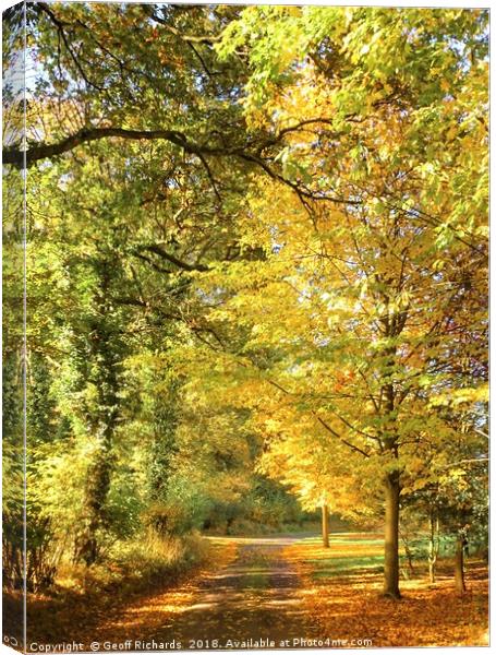 English Country Lane Canvas Print by Geoff Richards