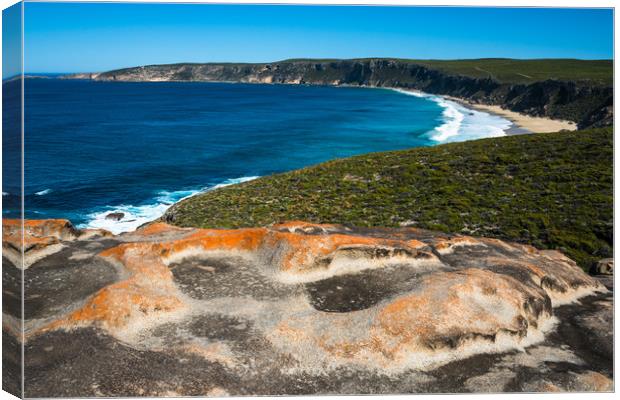 Remarkable Rocks, Flinders Chase National Park Canvas Print by Andrew Michael