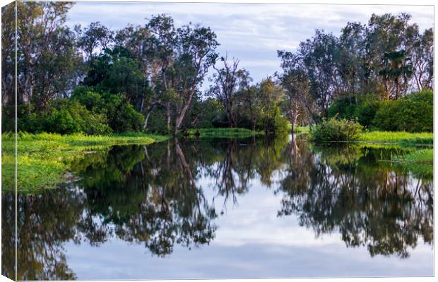 Flooded wetlands during the wet season Canvas Print by Andrew Michael