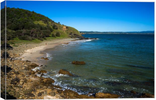 Little Wategos Beach Canvas Print by Andrew Michael