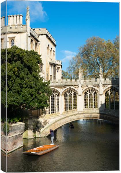 Punting under the Bridge of Sighs Canvas Print by Andrew Michael