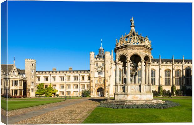 Trinity College Great Court  Canvas Print by Andrew Michael