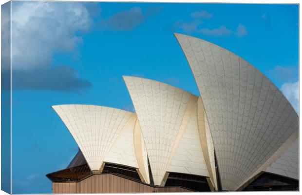 Sydney Opera House sails, Sydney, New South Wales, Canvas Print by Andrew Michael