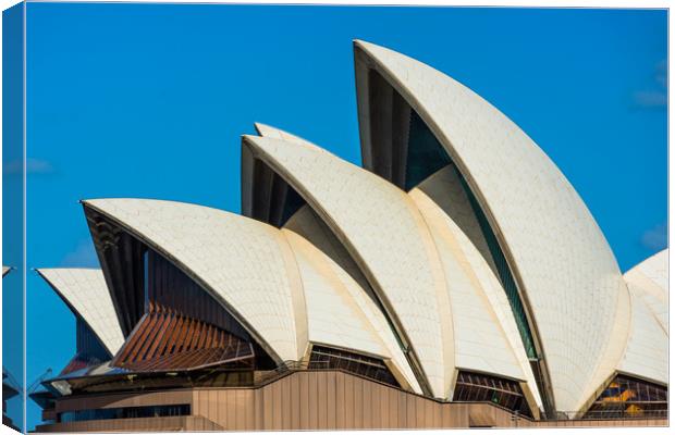 Sydney Opera house Canvas Print by Andrew Michael
