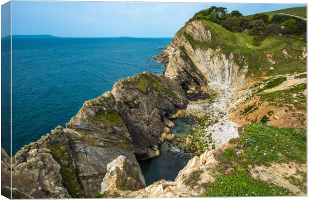 Dramatic coastal scenery at Lulworth Cove Canvas Print by Andrew Michael