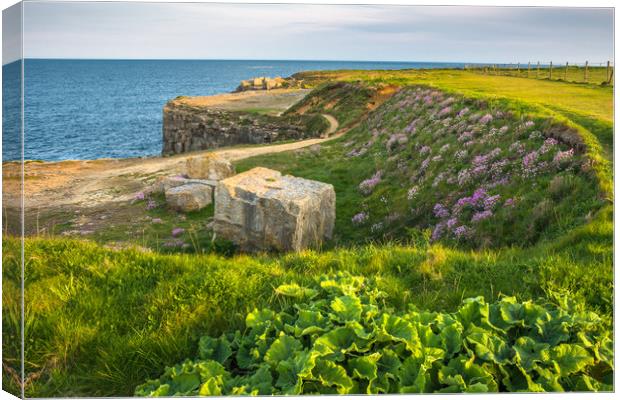 Portland Bill coast with quarried stone Canvas Print by Andrew Michael