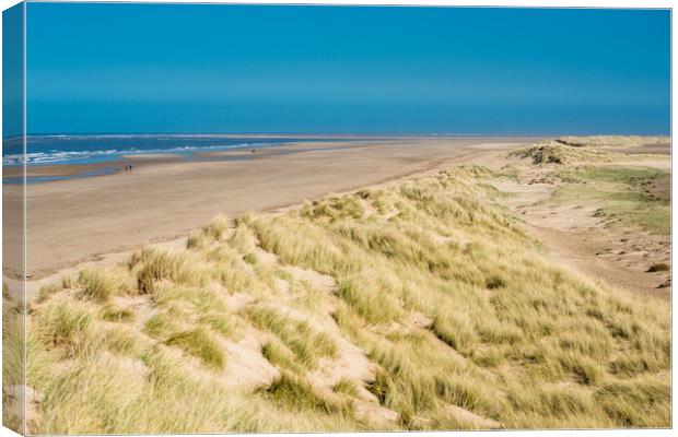 Holkham bay beach & Nature reserve Canvas Print by Andrew Michael