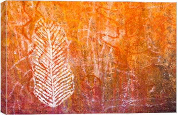 Aboriginal cave art Canvas Print by Andrew Michael