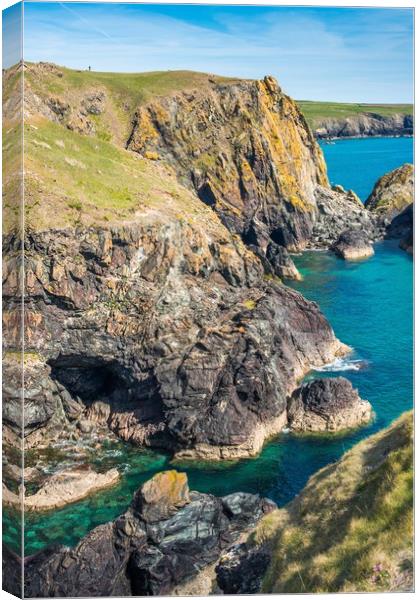 Kynance Cove on the Lizard Peninsular 3 Canvas Print by Andrew Michael