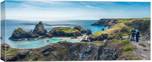 Kynance Cove views Canvas Print by Andrew Michael