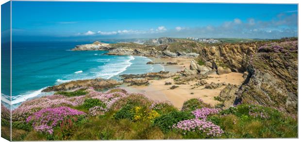 Newquay coast Canvas Print by Andrew Michael