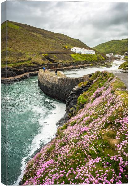Boscastle Spring time Canvas Print by Andrew Michael