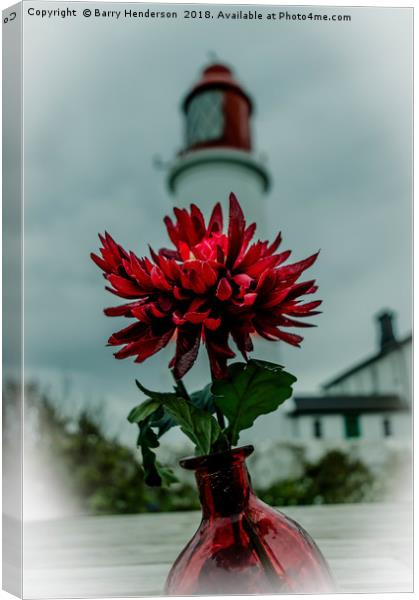 Souter Lighthouse Canvas Print by Barry Henderson
