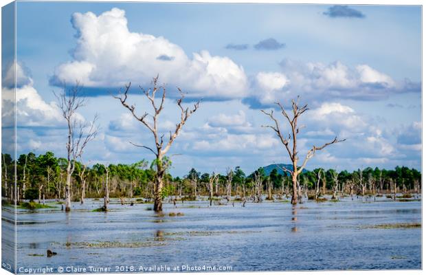 Siem Reap Lake Canvas Print by Claire Turner