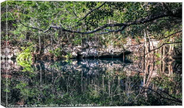 Cenote Angelita Canvas Print by Claire Turner