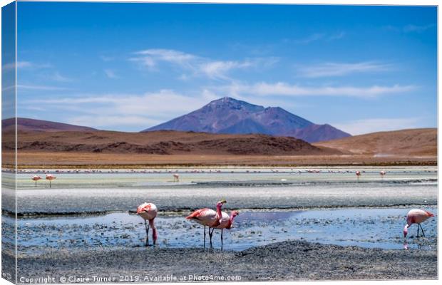 Bolivian wilderness Canvas Print by Claire Turner