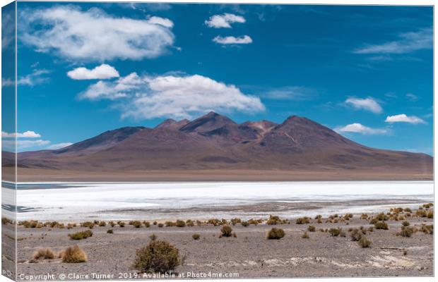 Salt lake and mountains Canvas Print by Claire Turner