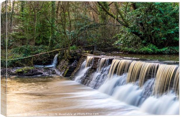 Woodland waterfall  Canvas Print by Claire Turner