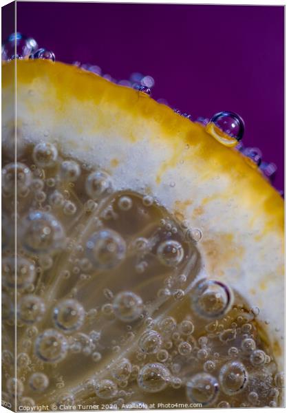 Bubbles on lemon #4 Canvas Print by Claire Turner