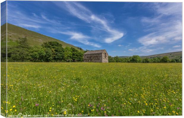 Barn In The Meadows Canvas Print by Tom Holmes