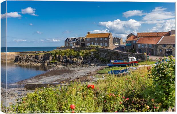 Craster Canvas Print by Tom Holmes