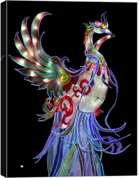 bird of light Canvas Print by steven clifton