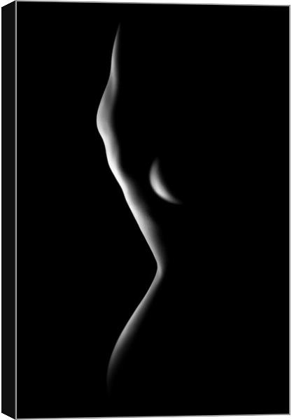 Nude woman bodyscape 78 Canvas Print by Johan Swanepoel