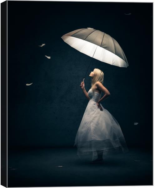 Girl with Umbrella and feathers Canvas Print by Johan Swanepoel