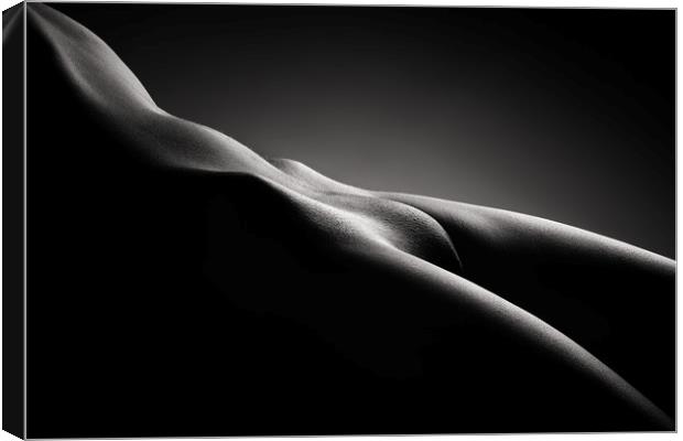 Bodyscape of nude woman Canvas Print by Johan Swanepoel