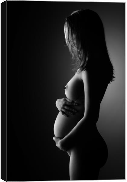 Nude Pregnant Woman Canvas Print by Johan Swanepoel