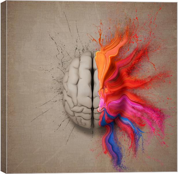 The Creative Brain Canvas Print by Johan Swanepoel