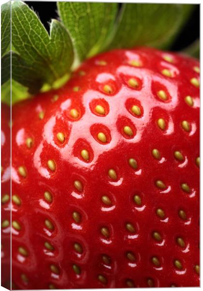 Fresh strawberry close-up Canvas Print by Johan Swanepoel