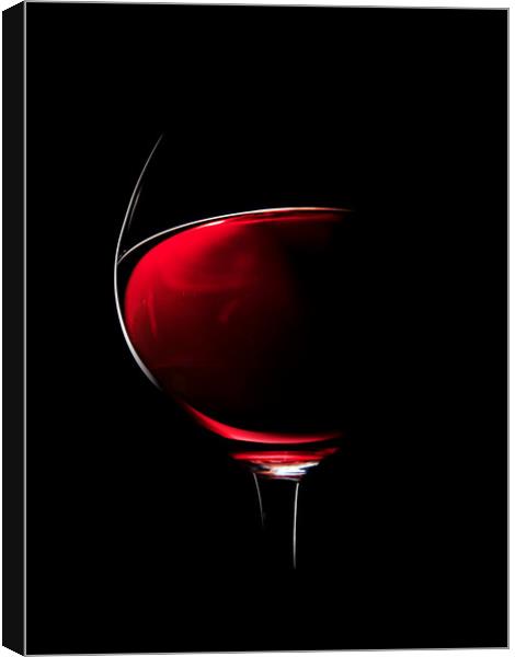 Red Wine Canvas Print by Johan Swanepoel