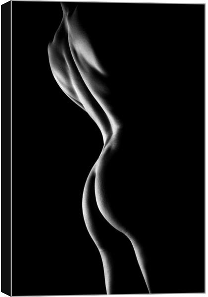 Nude woman bodyscape 6 Canvas Print by Johan Swanepoel