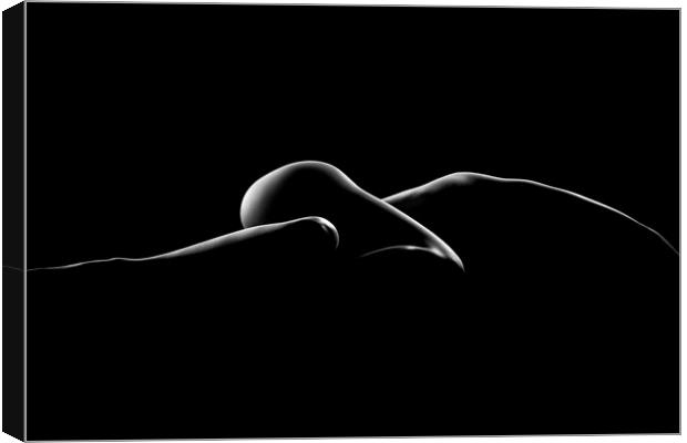 Nude woman bodyscape 7 Canvas Print by Johan Swanepoel