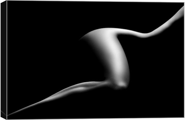 Nude woman bodyscape 9 Canvas Print by Johan Swanepoel
