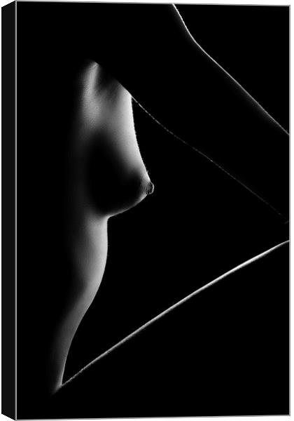Nude woman bodyscape 13 Canvas Print by Johan Swanepoel