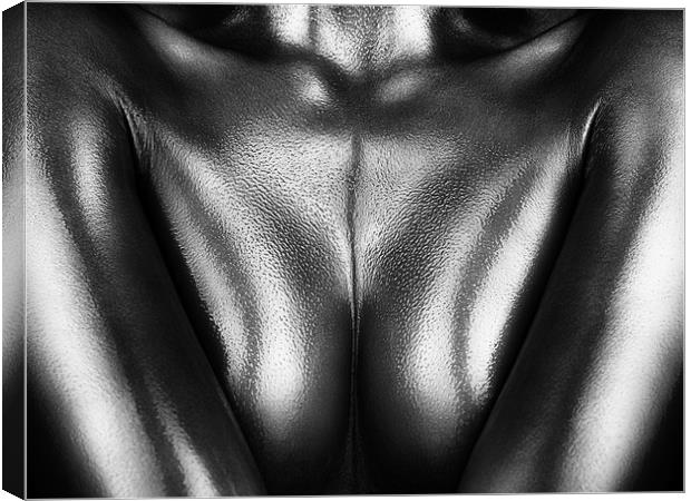 Female nude silver oil close-up 2 Canvas Print by Johan Swanepoel