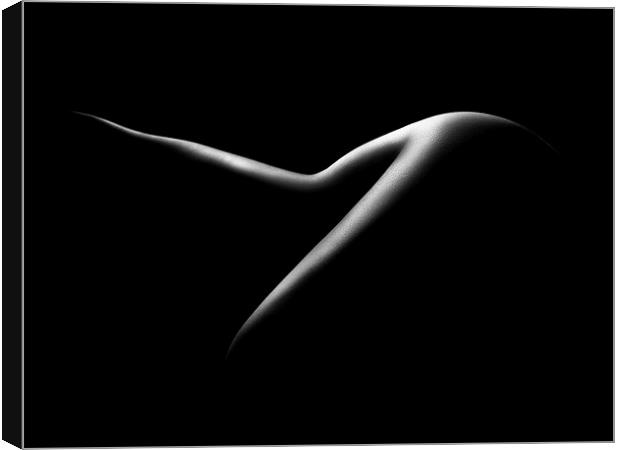 Nude woman bodyscape 15 Canvas Print by Johan Swanepoel