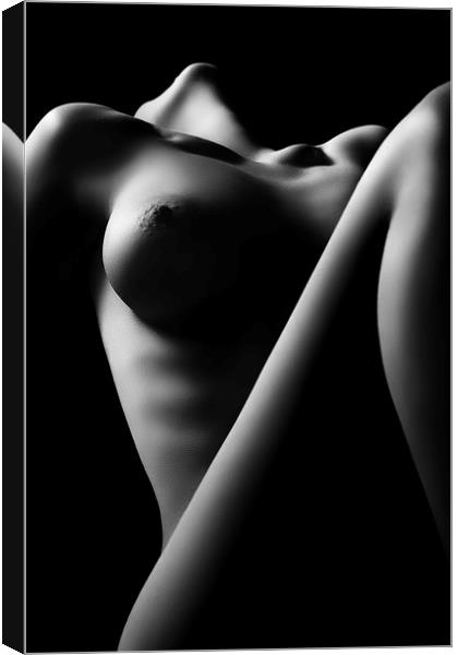 Nude woman bodyscape 16 Canvas Print by Johan Swanepoel