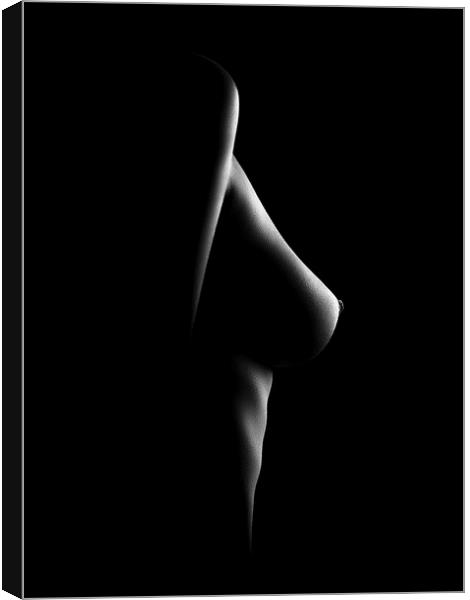 Nude woman bodyscape 21 Canvas Print by Johan Swanepoel