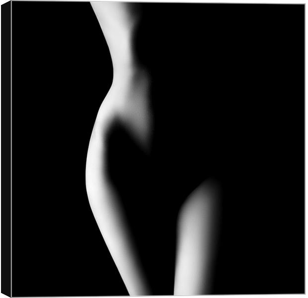 Nude woman bodyscape 23 Canvas Print by Johan Swanepoel