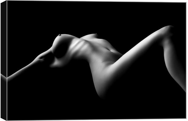 Nude woman bodyscape 26 Canvas Print by Johan Swanepoel