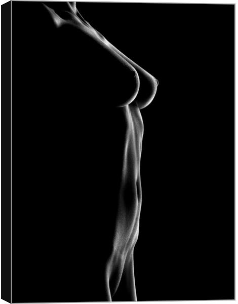 Nude woman bodyscape 25 Canvas Print by Johan Swanepoel