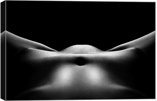 Nude woman bodyscape 30 Canvas Print by Johan Swanepoel